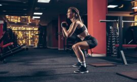 Praesent libro se cursus ante